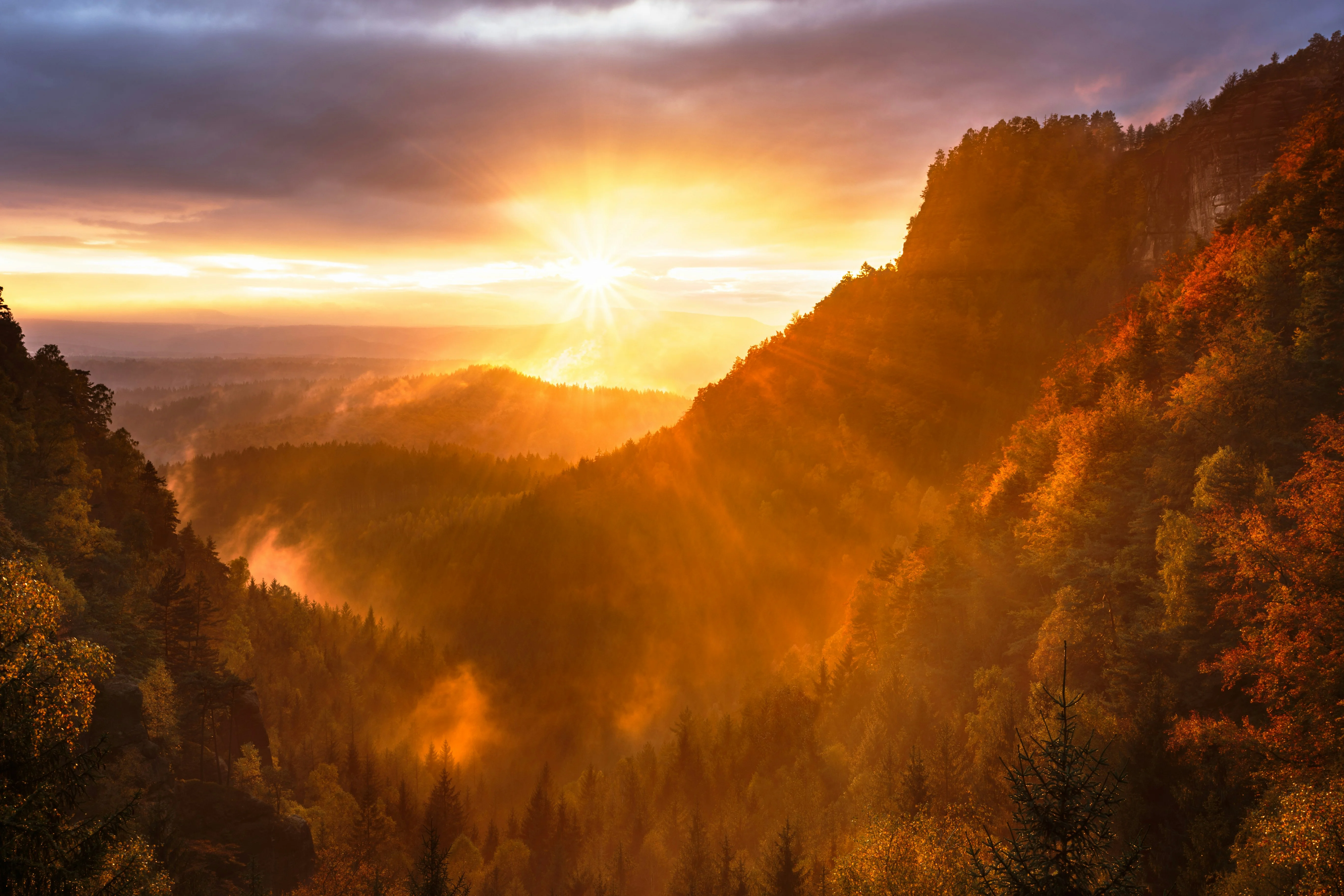 mountains and tree range during golden hour — reaching peak performance