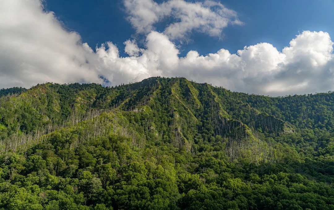 green trees on mountain under white clouds and blue sky during daytime — reaching peak performance