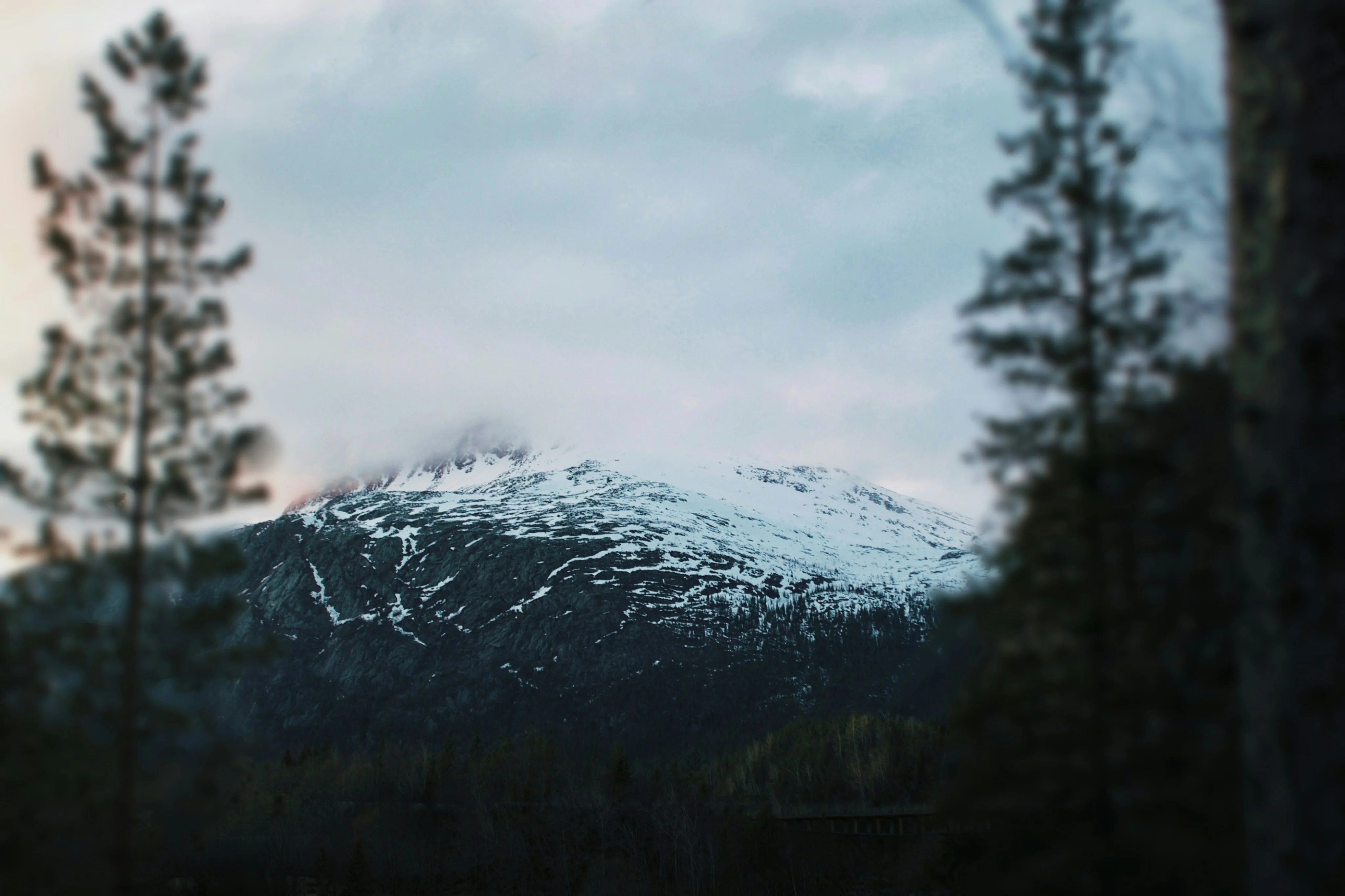A snow covered mountain with trees in the foreground — reaching peak performance